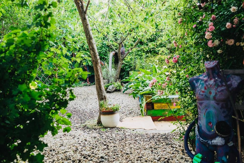 Maxia Galega -arte, Natureza, Relax -ribeira Sacra Apartment *